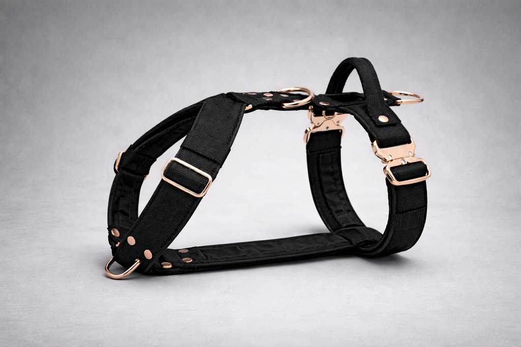 ActiveFit Harness