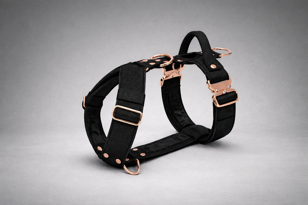 ActiveFit Harness